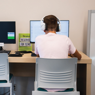Teen using the computer